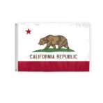 California State Flag 2x3 Ft