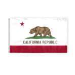 California State Flag 3x5 Ft