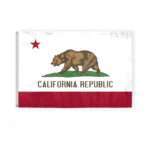 California State Flag 4x6 Ft
