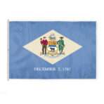 Delaware State Flag 8x12 Ft
