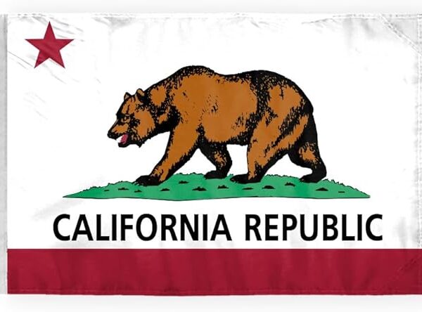 AGAS California State Motorcycle Flag 6x9 inch