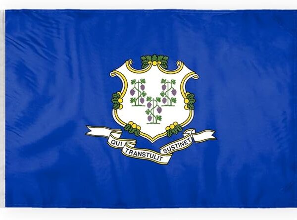 AGAS Connecticut State Motorcycle Flag 6x9 inch