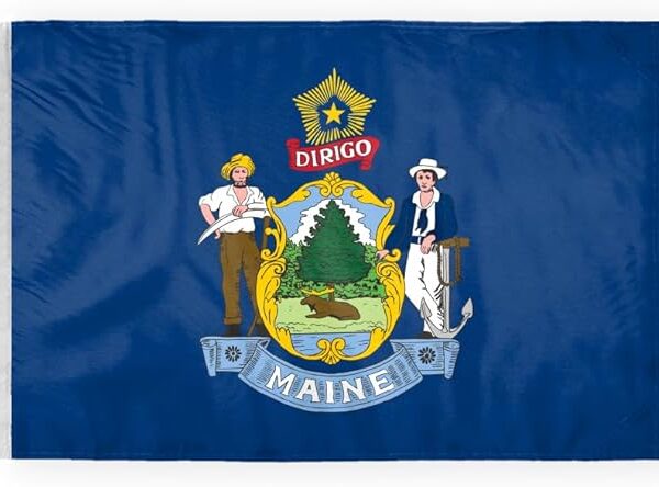 AGAS Maine State Motorcycle Flag 6x9 inch