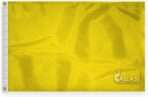 AGAS Quarantine Flag - 24 x 36 Inch - Printed 200 Nylon