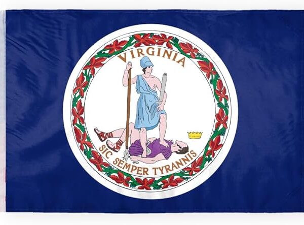 AGAS Virginia State Motorcycle Flag 6x9 inch