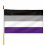 Asexual 12X18 inch Pride Flags