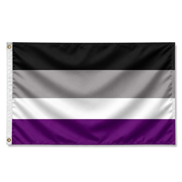Asexual 2x3 ft Nylon 200D Pride Flags