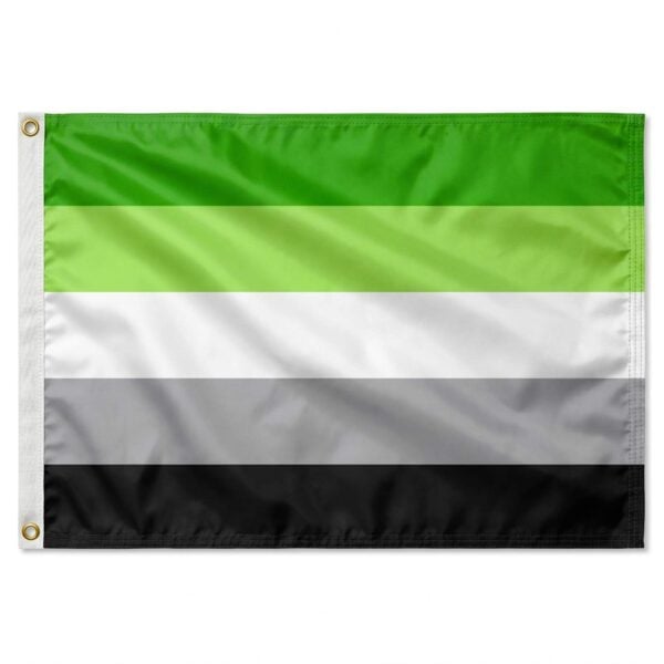 Aromantic 4x6 ft Nylon 200D Pride Flags