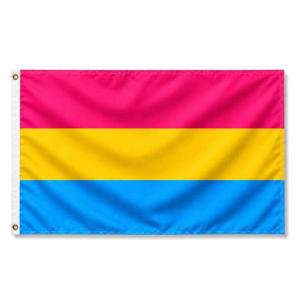 Pansexual 3x5 ft Polyester Pride Flags