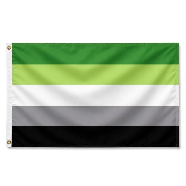 Aromantic 5x8 ft Nylon 200D Pride Flags