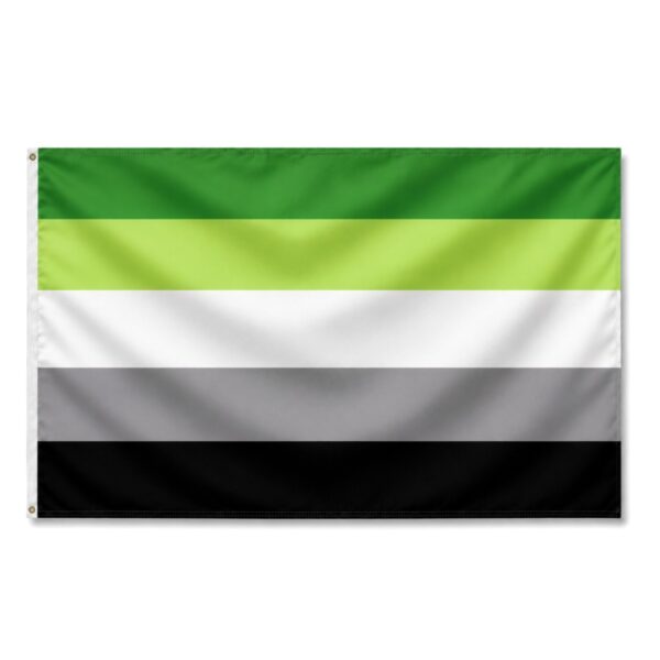 Aromantic 6x10 ft Nylon 200D Pride Flags