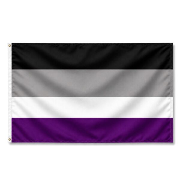 Asexual 6x10 ft Nylon 200D Pride Flags