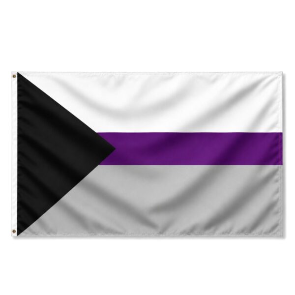 demisexual 6x10 ft Nylon 200D Pride Flags