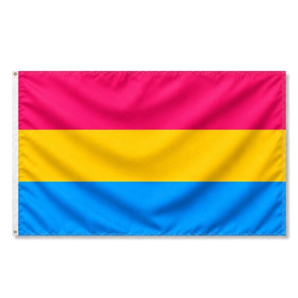 Pansexual 6x10 ft Nylon 200D Pride Flags