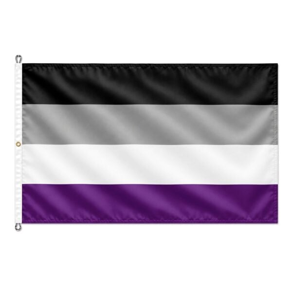 Asexual 8x12 ft Nylon 200D Pride Flags
