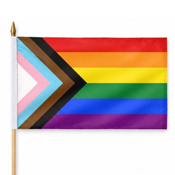 Progress 12X18 inch Pride Flags