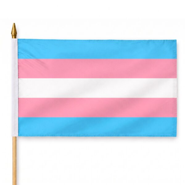 Transgender 12X18 inch Pride Flags