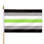 Agender 12X18 inch Pride Flags