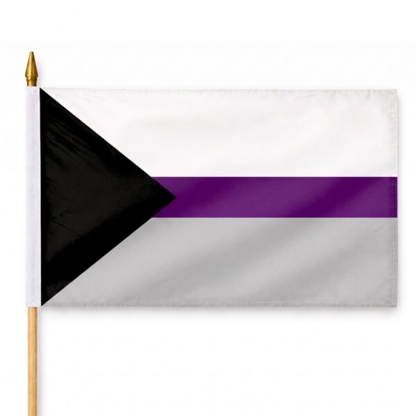 Demisexual 12X18 inch Pride Flags