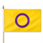 Intersex 12X18 inch Pride Flags