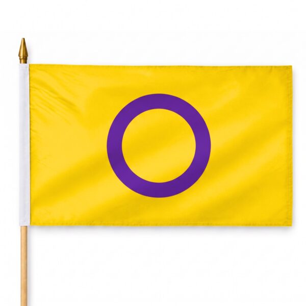 Intersex 12X18 inch Pride Flags