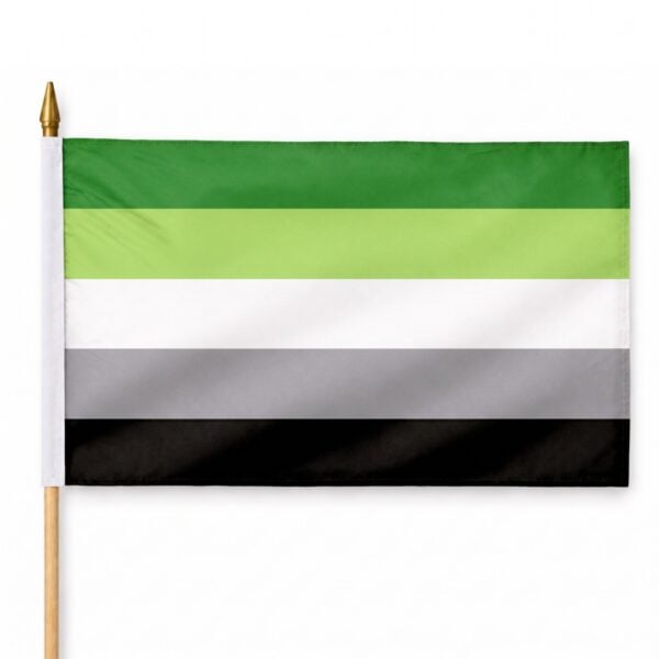 Aromantic 12X18 inc Pride Flags