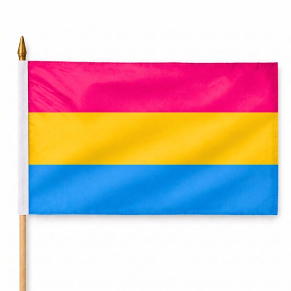 Pansexual 12X18 inch Pride Flags