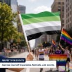 Aromantic 12X18 inc Pride Flags