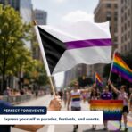 Demisexual 12X18 inch Pride Flags