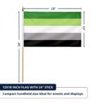 Aromantic 12X18 inc Pride Flags