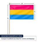 Pansexual 12X18 inch Pride Flags