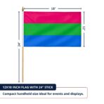 Polysexual 12X18 inch Pride Flags