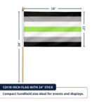 Agender 12X18 inch Pride Flags