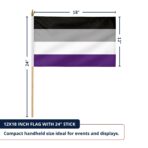 Asexual 12X18 inch Pride Flags