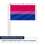 Bisexual 12X18 inch Pride Flags