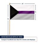 Demisexual 12X18 inch Pride Flags