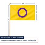 Intersex 12X18 inch Pride Flags