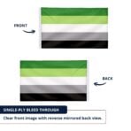 Aromantic 12X18 inc Pride Flags