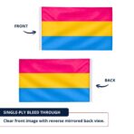 Pansexual 12X18 inch Pride Flags
