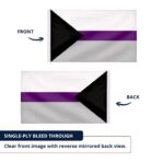 Demisexual 12X18 inch Pride Flags