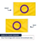 Intersex 12X18 inch Pride Flags