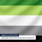 Aromantic 12X18 inc Pride Flags