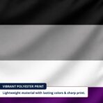 Asexual 12X18 inch Pride Flags