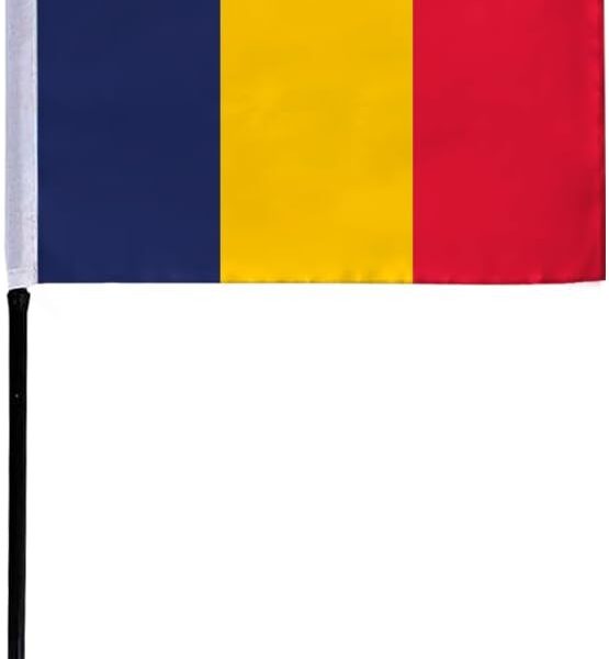 AGAS Small Chad Flag 4x6 inch mounted onto 11 inch