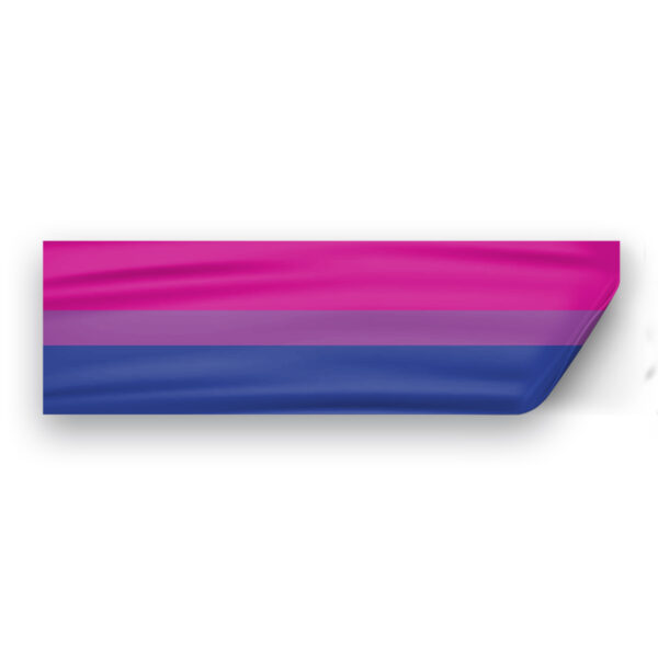 AGAS Bi Pride Flag Static Cling Decal 6 Stripes - 3x10 inch