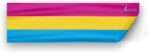 AGAS Flags 3" x 10" Pansexual Pride Window Decal 6 Stripes - Printed on Vinyl Material with Paper Release Liner, Multicolor Pansexual Static Clings, Easy to remove without the residue