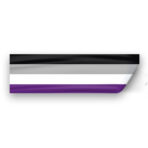 AGAS Asexual Pride Flag Static Cling Decal 6 Stripes - 3x10 inch
