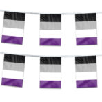 AGAS Asexual Pride Streamers for Party 60 Ft long