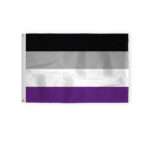 Asexual Pride Flag 2x3 Ft