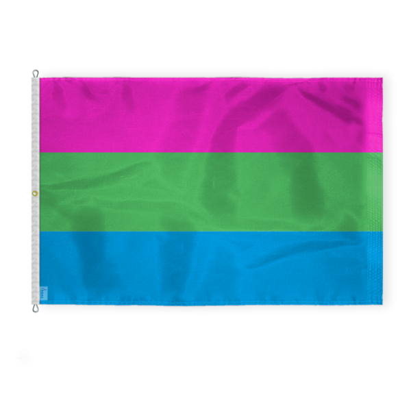 AGAS Large Polysexual Pride Flag 8x12 Ft